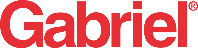 Gabriel shock absorbers